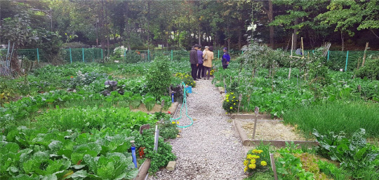 수서 자원순환 텃밭학교 전경. <LH 제공>